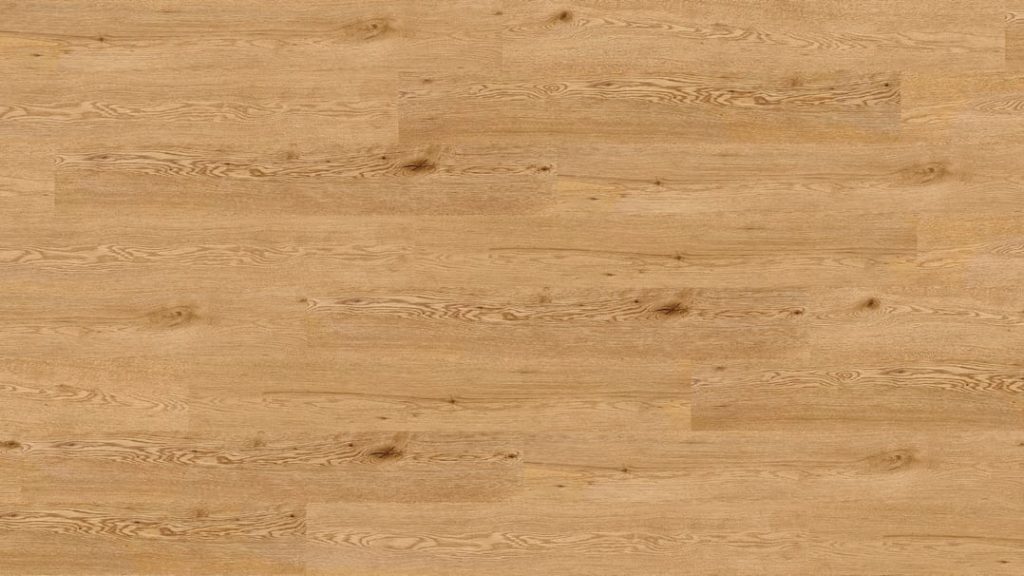 Elorza DB NF30142