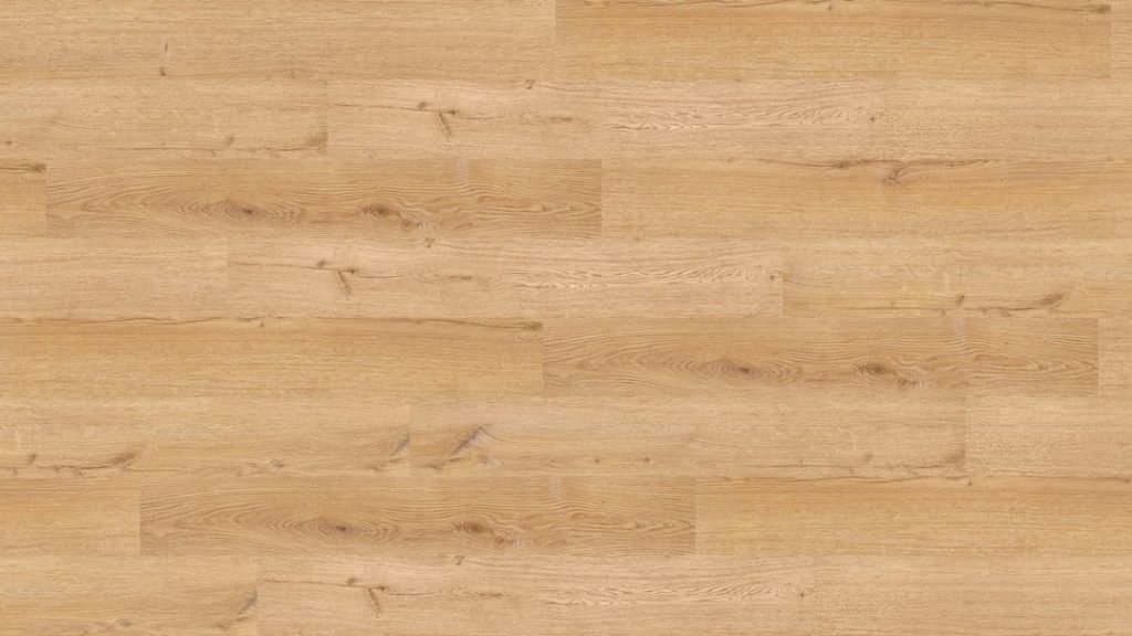Segovia NF10241