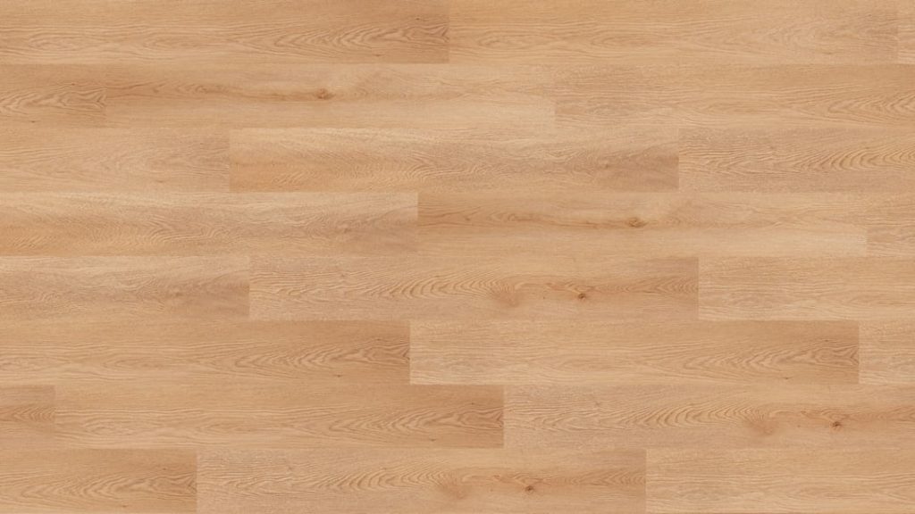 Montoro NF10124