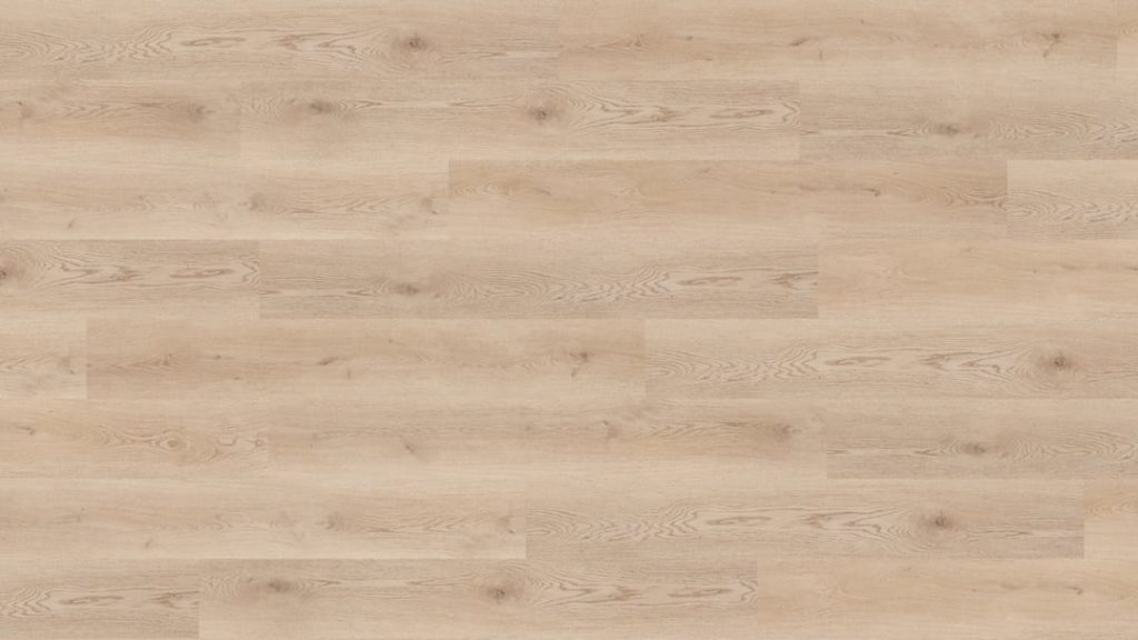 Moya NF10137
