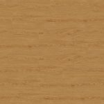 Mendoza NF10748