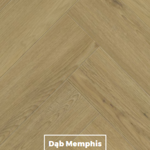 dąb memphis